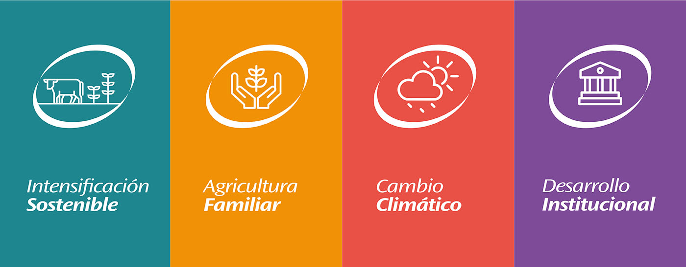 branding-auxilio24.com