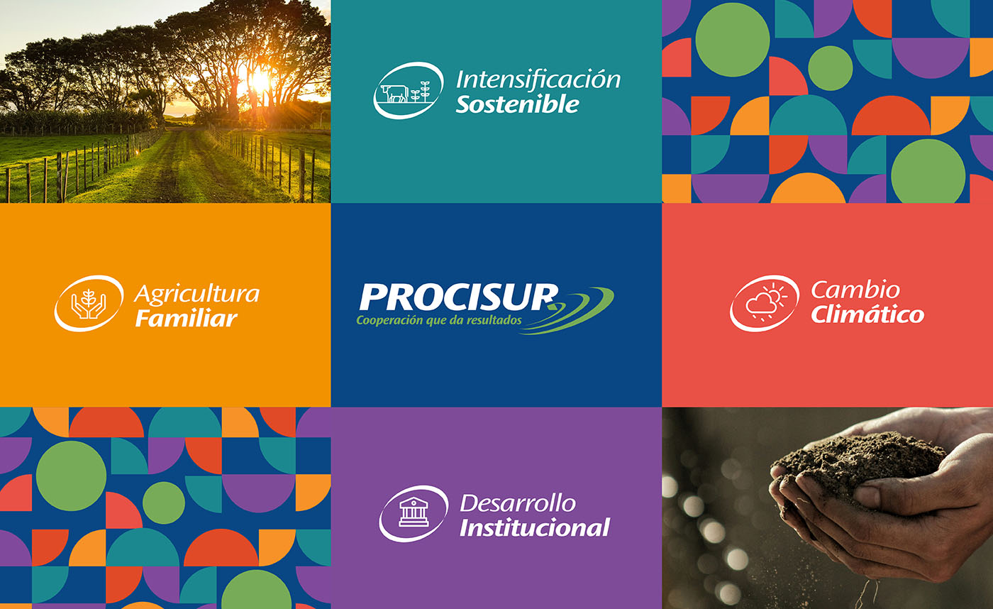 branding-auxilio24.com