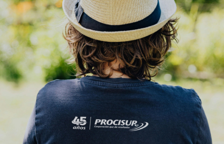 Procisur