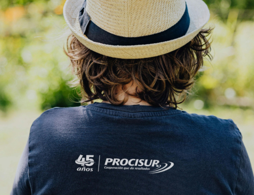 Procisur