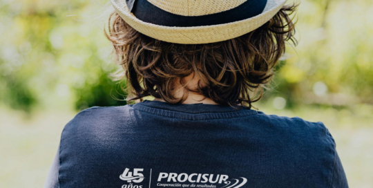 Procisur