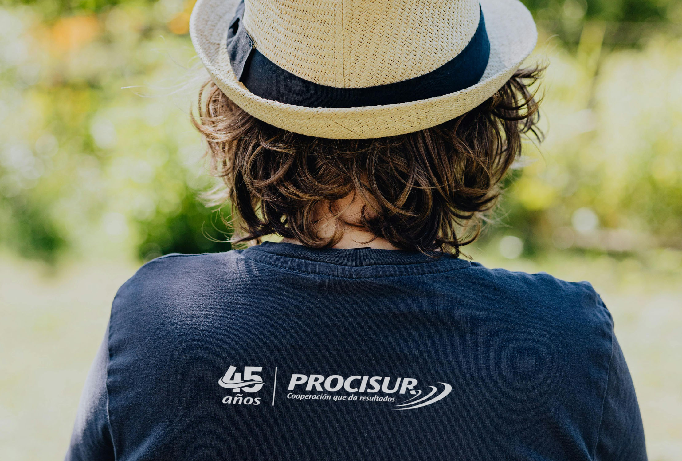 Procisur